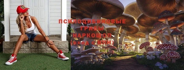 круглые Елизово