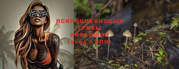 мет Елабуга