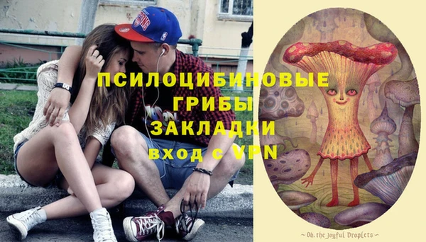 мдма Ельня